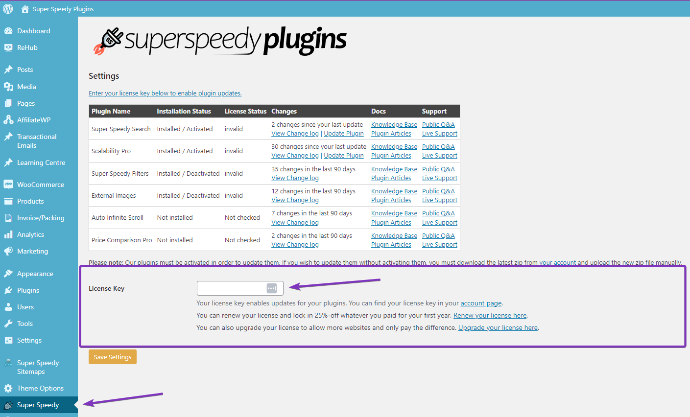 Super Speedy Plugins admin settings page with arrow pointing towards the license key area.